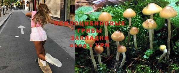 a pvp Алзамай