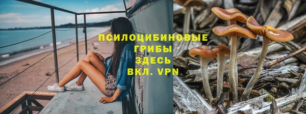 a pvp Алзамай