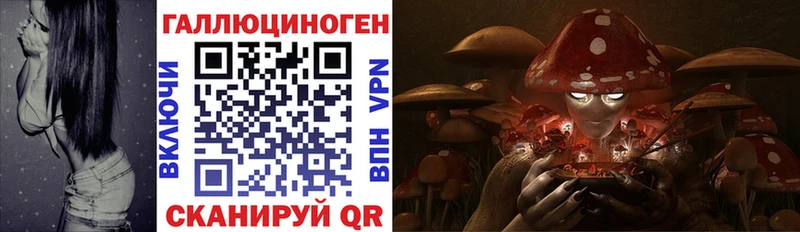 Псилоцибиновые грибы Cubensis  что такое наркотик  Нытва 